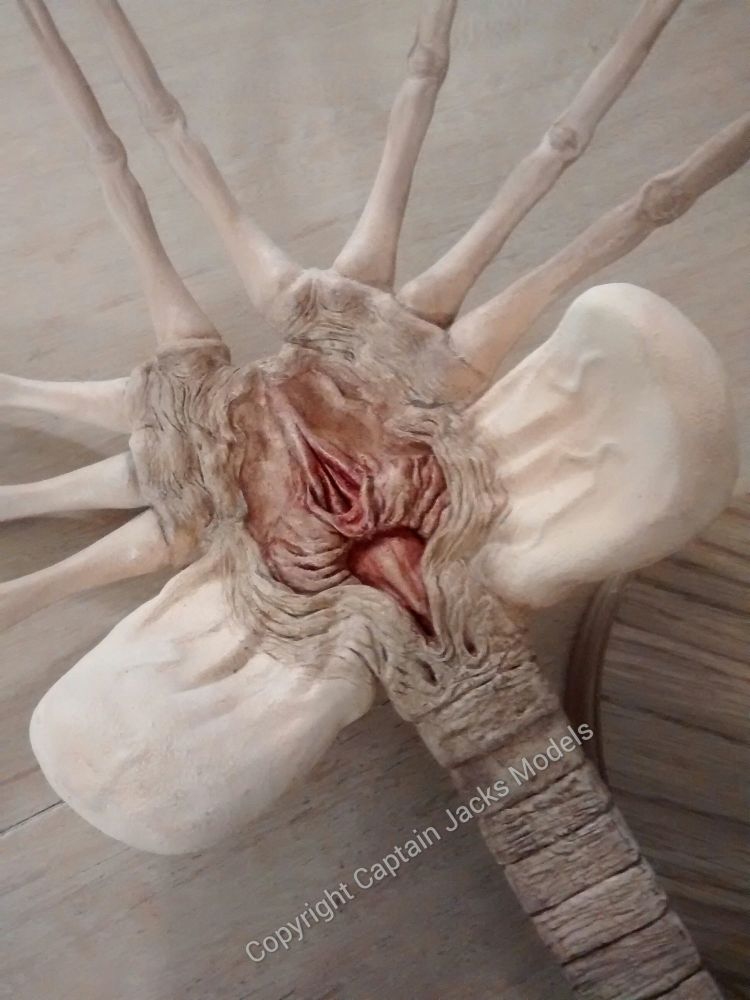 Ridley Scott's Alien Facehugger Collectors Display Model