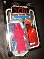 Star Wars - Kenner Hasbro - The Vintage Collection - VC105 - Emperors Royal Guard - Return Of The Jedi - F1898/E7763  - Premium Collectable Figure Set