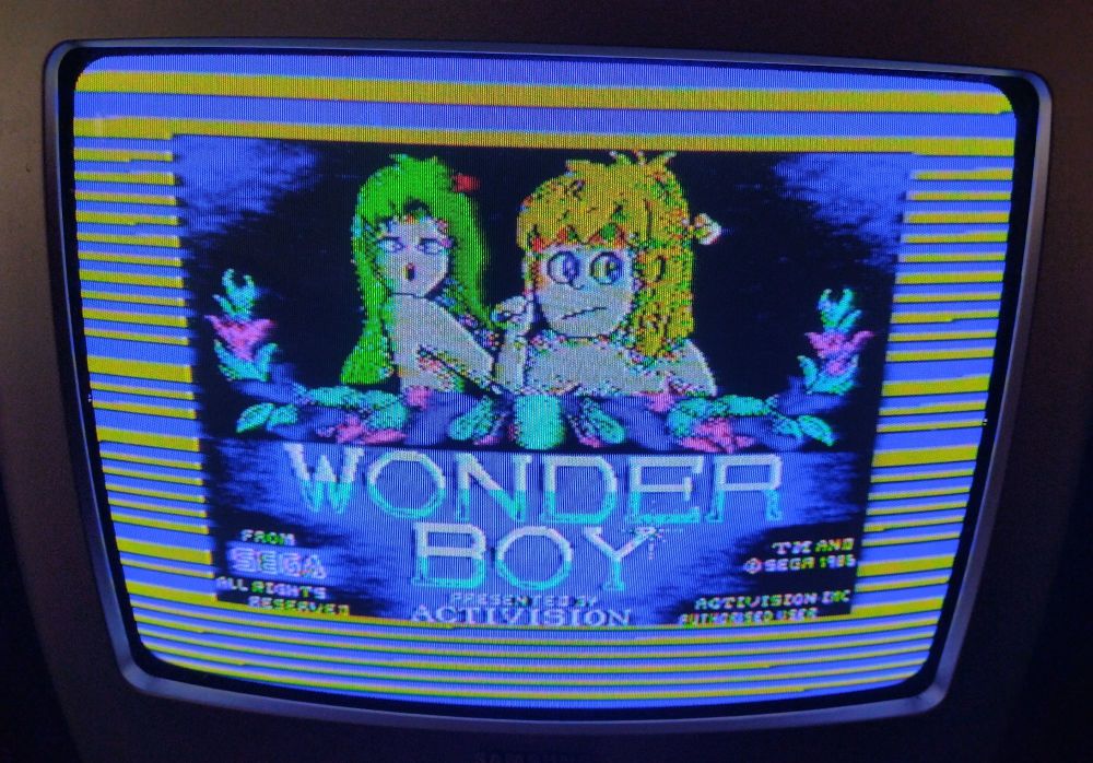 Wonder Boy The Hit Squad Vintage ZX Spectrum 48K 128K +2 +3 Software Tested & Working