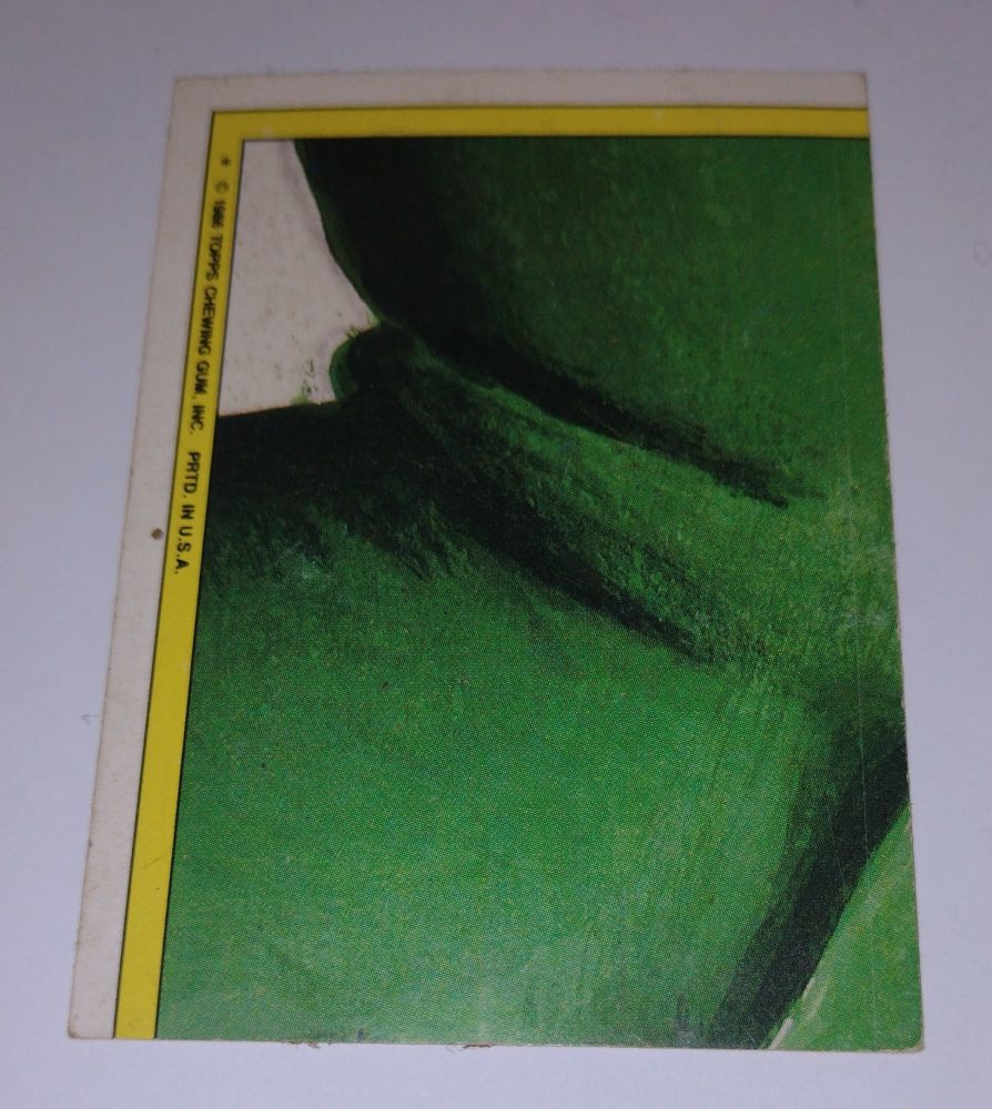 Original 1986 US Garbage Pail Kids Trading Card - Peepin Tom - 114b