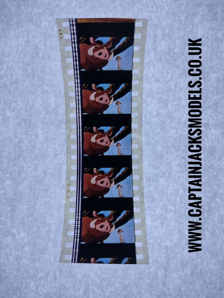 Genuine 35mm Screen Used Film Cells - Loose & Unmounted - The Lion King 1994 Movie - Ref D