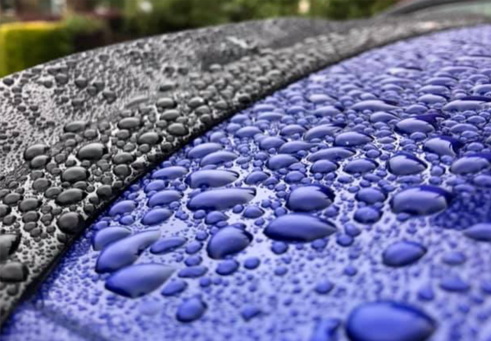 Car Wax Vs Car Polish – The Clay Cloth Company™