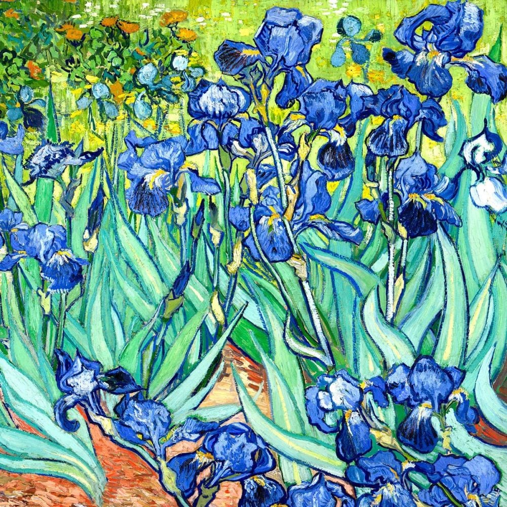 Vincent van Gogh: Irises, 1889