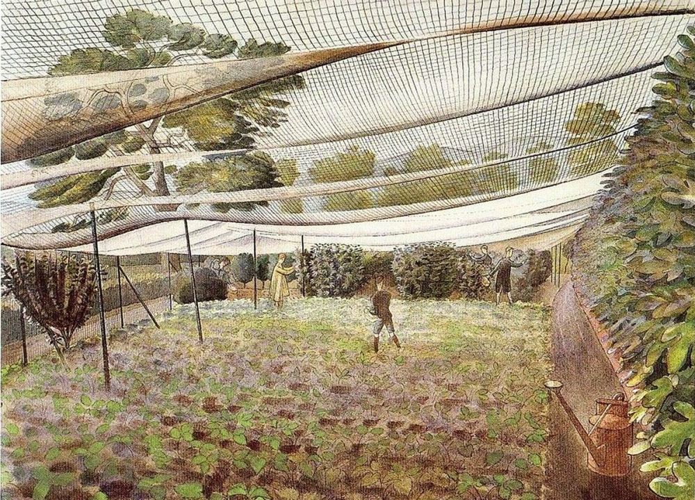 Eric Ravilious: Strawberry Nets, 1932