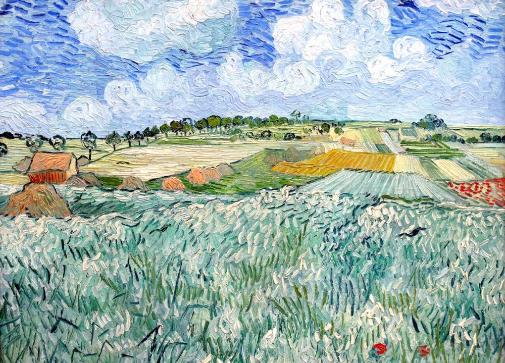 Vincent van Gogh: Plain near Auvers, 1888