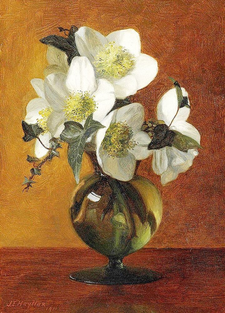 Jessica Hayllar: Christmas Roses in a glass vase, 1911