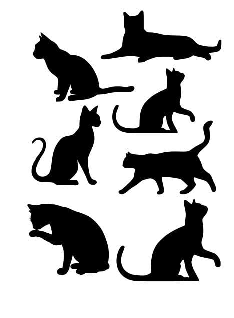 Cats stencil
