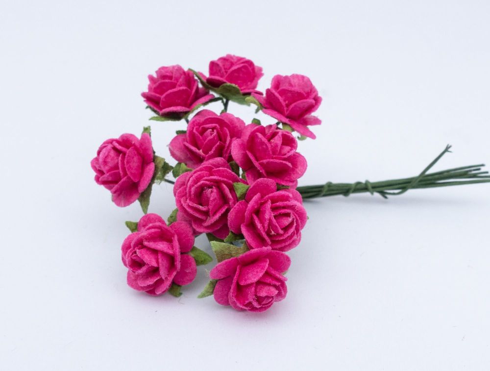 Fuschia roses 4