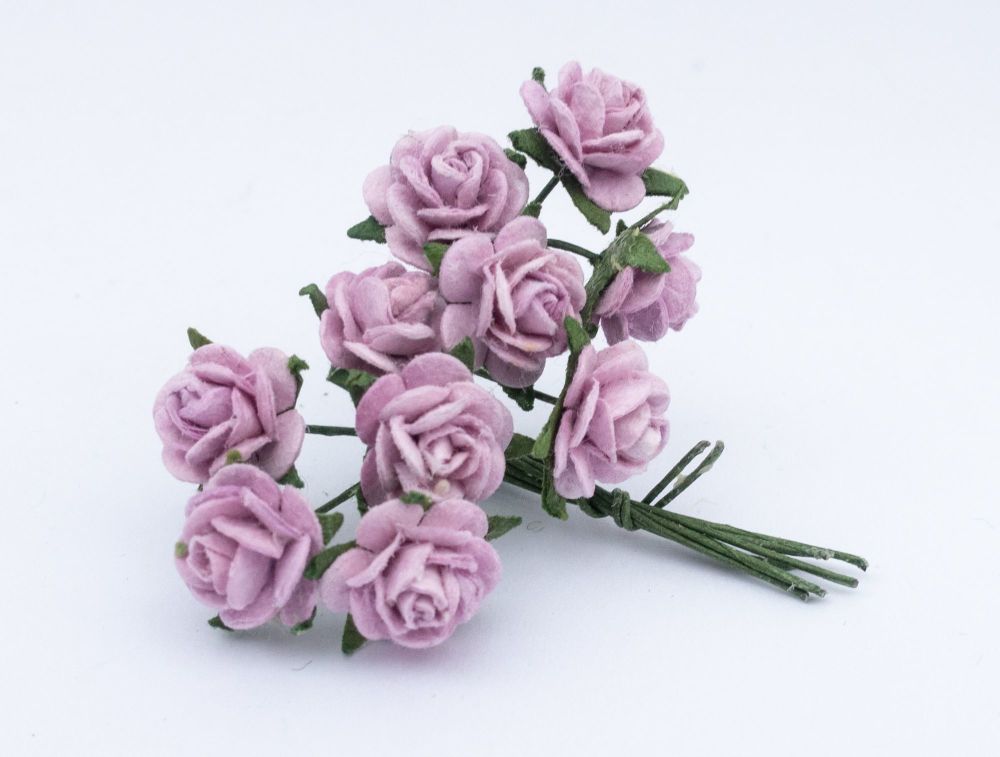 Pale violet roses 11