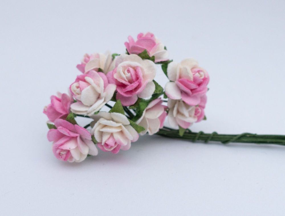 Pink and white roses 12