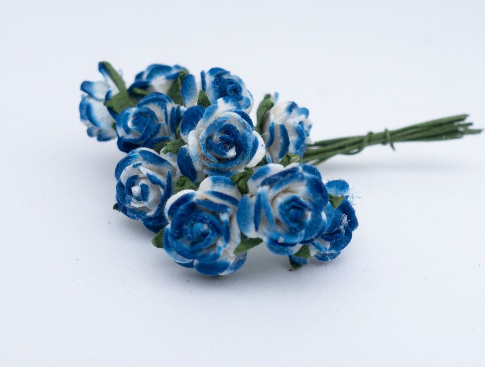Ultra blue and white roses 14