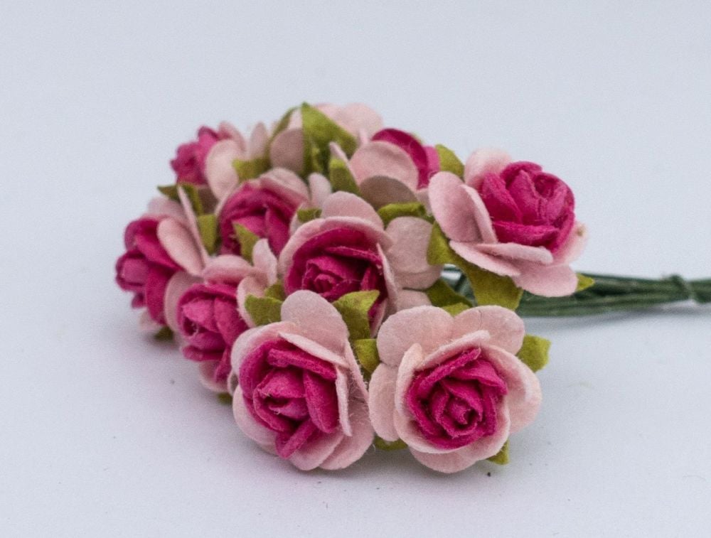 Pink and fuschia roses 15