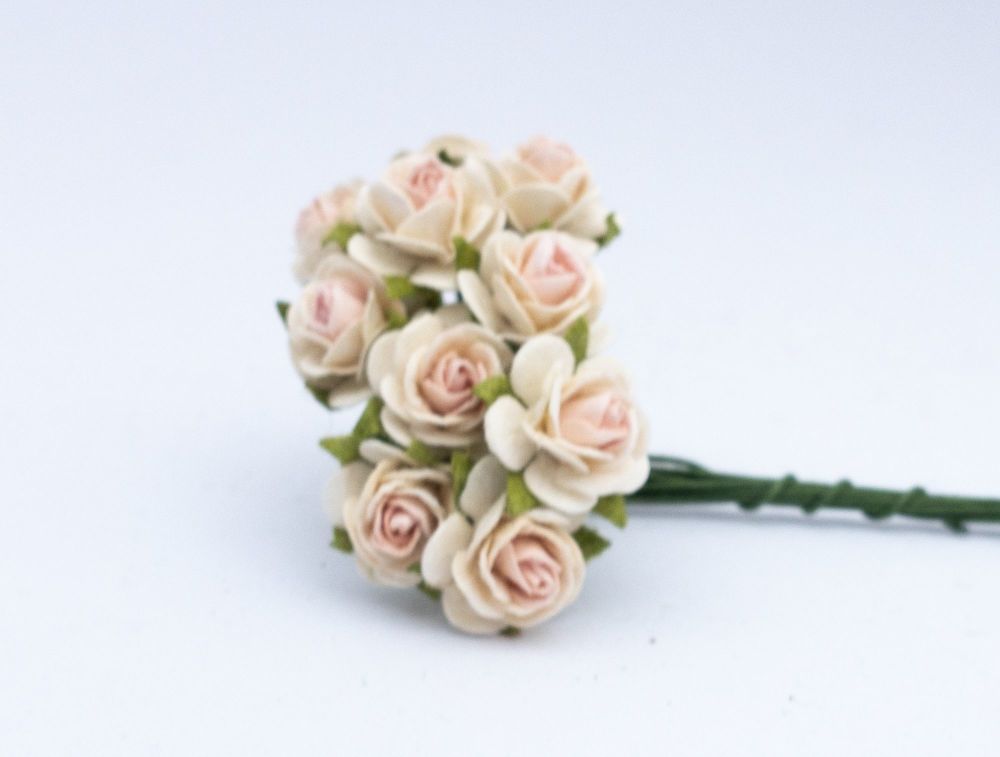 Pale pink and cream roses 16