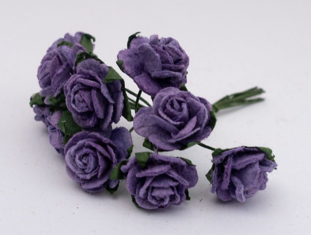 Violet roses 2.02