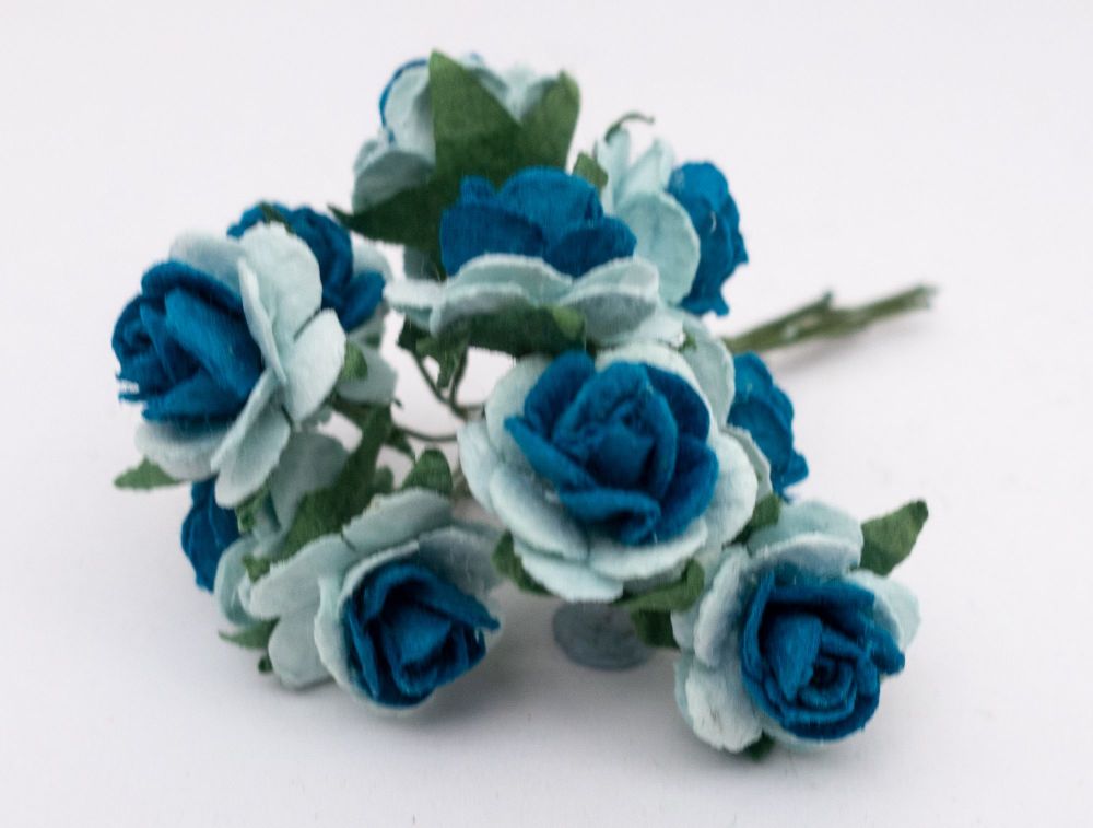 Ultra and pale blue roses 2.06
