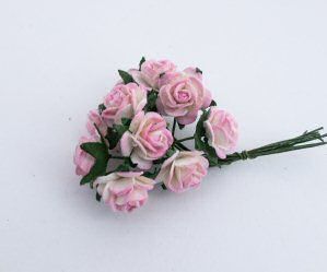 Pink and white roses 2.09