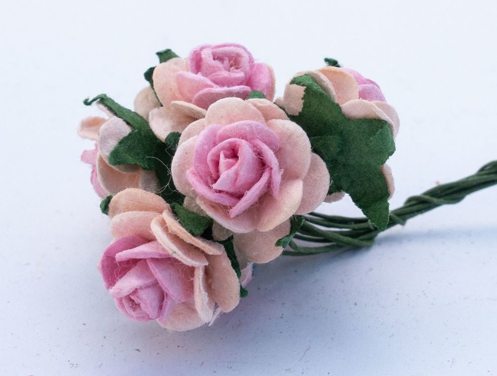 Pink and pale pink roses 2.14