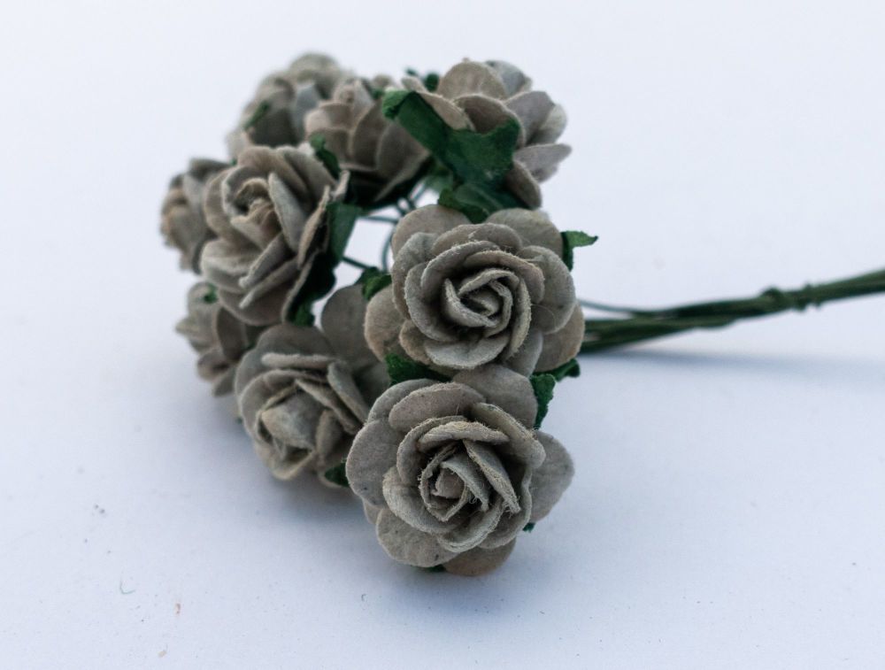 Sage roses 2.19