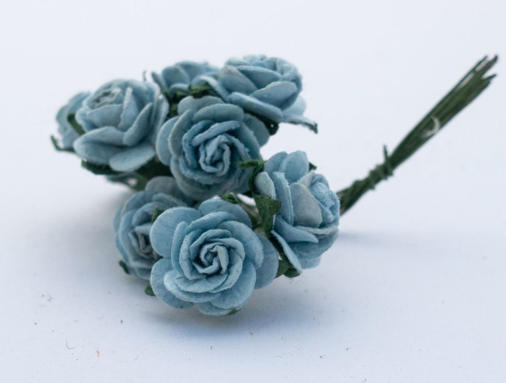 Pale blue roses 2.21