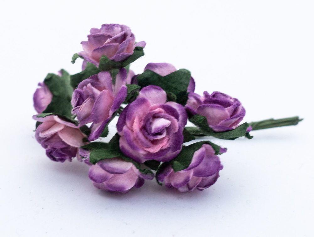 Dark and pale lilac roses 2.25