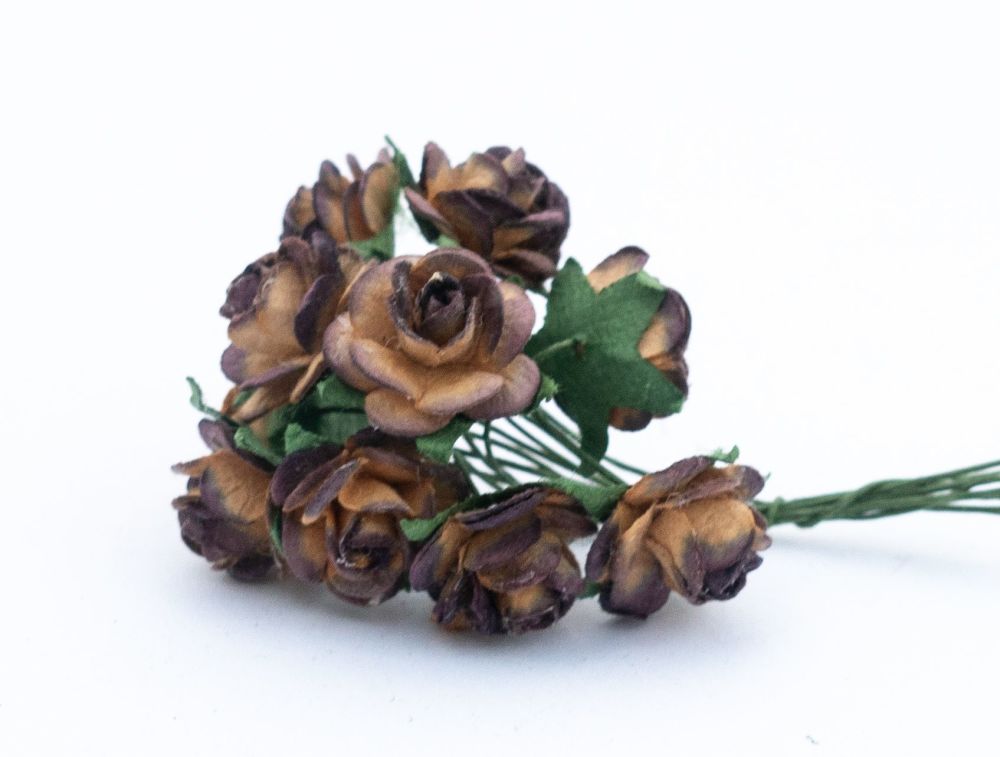 Burnt umber and cream roses 2.29