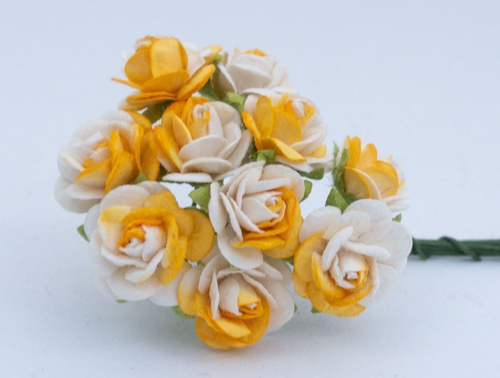 Yellow and white roses 2.32