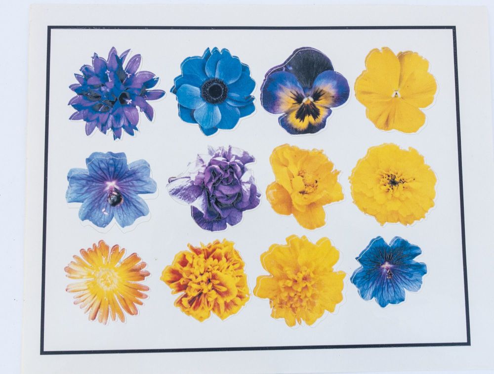 12 x glossy blue and yellow flower stickers