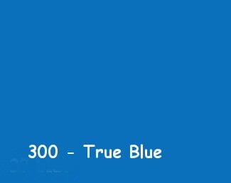 True Blue 300 - Professional 454gms