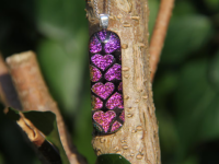 Pink heart dichroic glass pendant