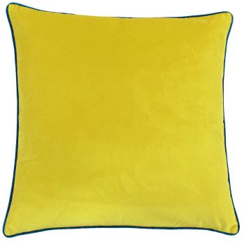 Large Velvet Cushion - Cylon and Teal