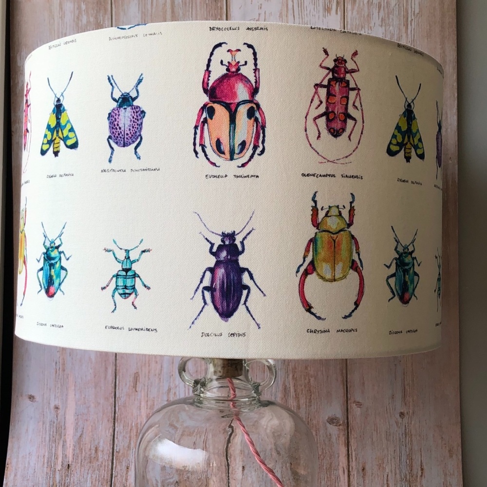 Lampshade - Specimen Beetles