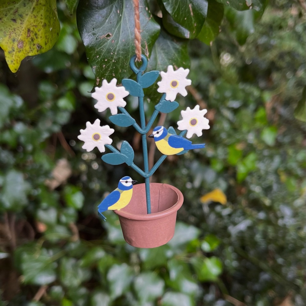 Pair of blue tits on a plant
