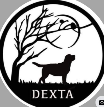 Allison&rsquo;s Hangers and Christmas Trees