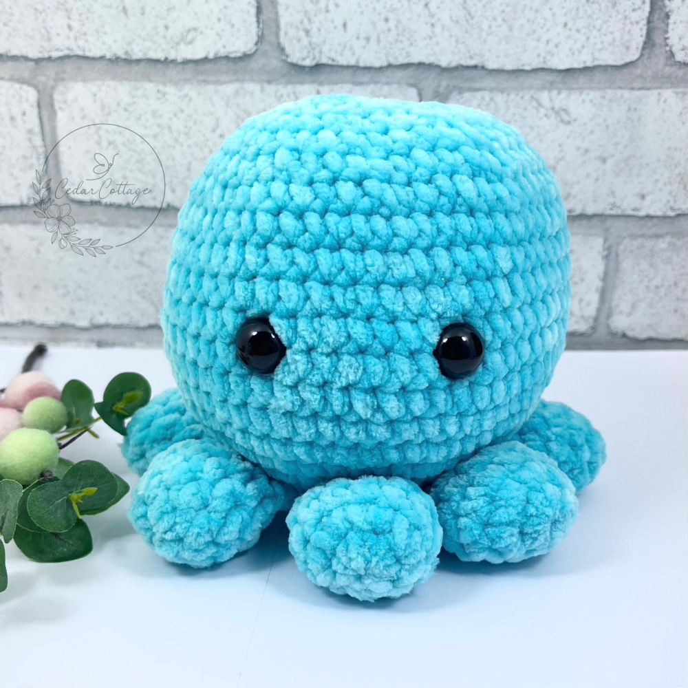 Octopus - Turquoise
