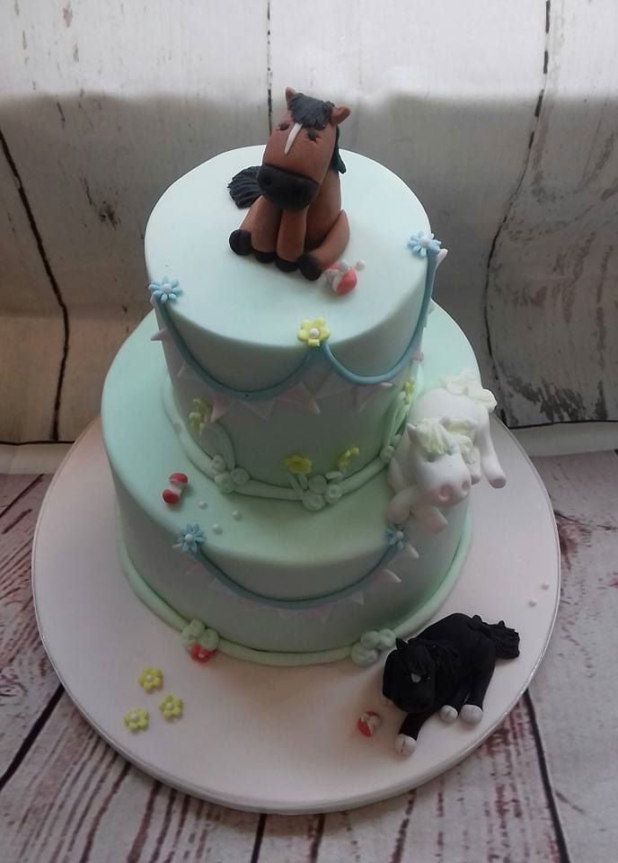 2 tier pony cake best pic