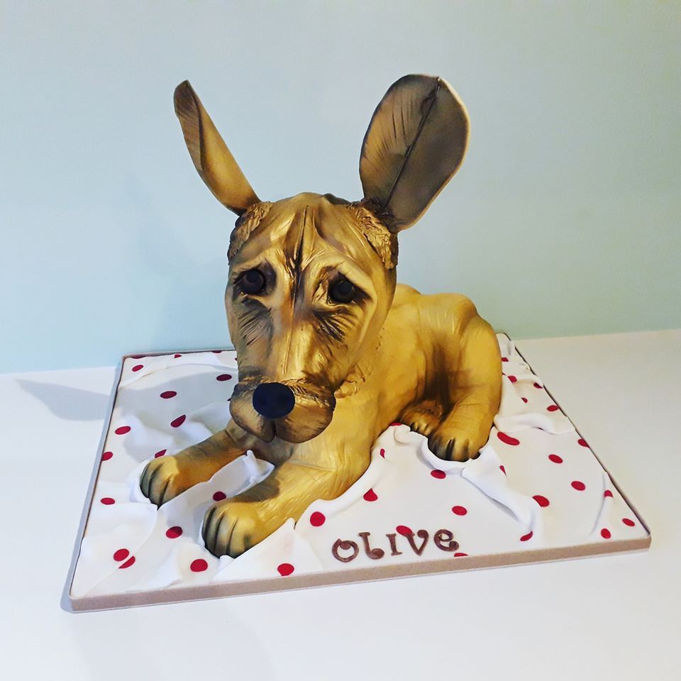 dog birthday cakes Bath