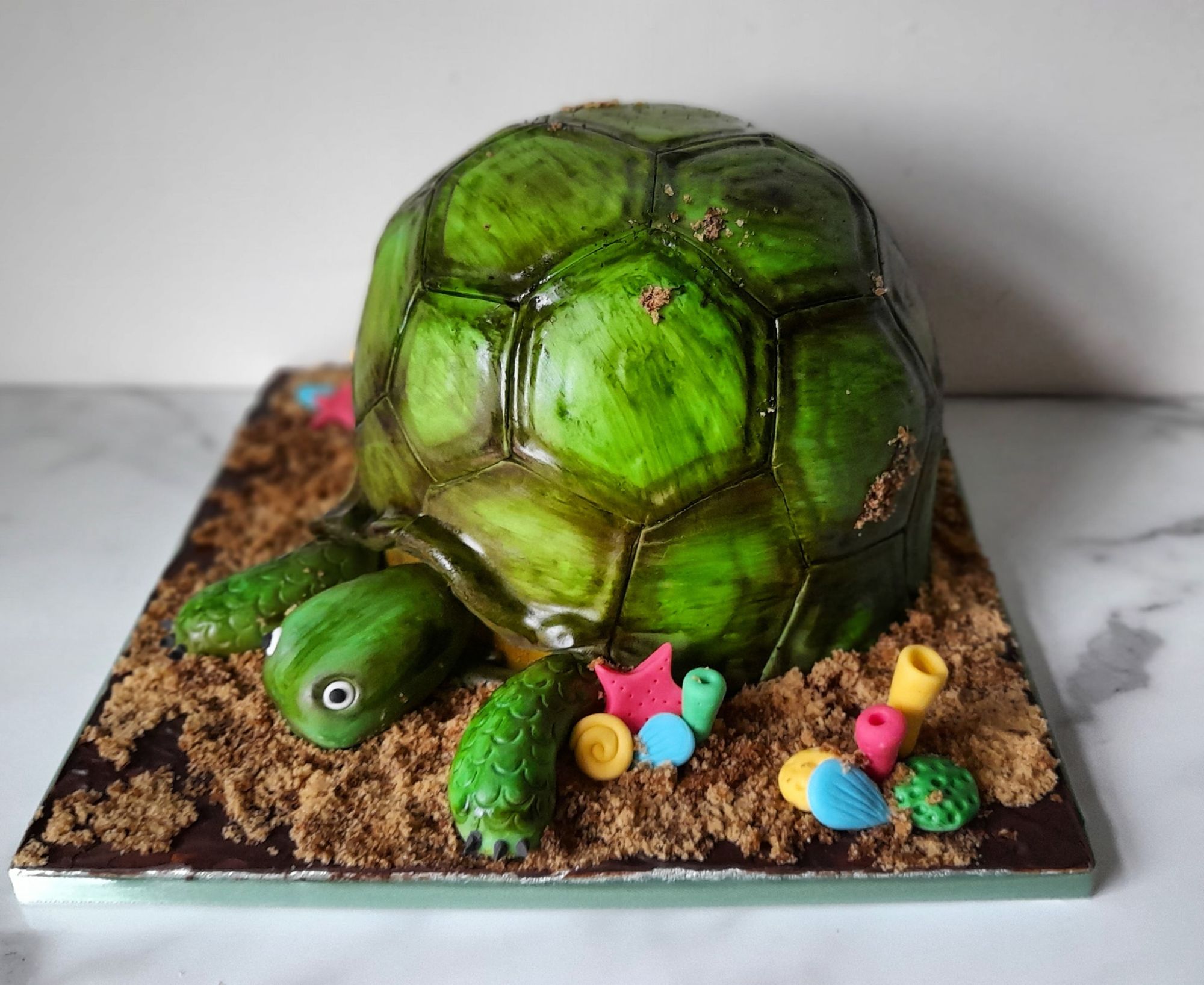 turtle cakes 