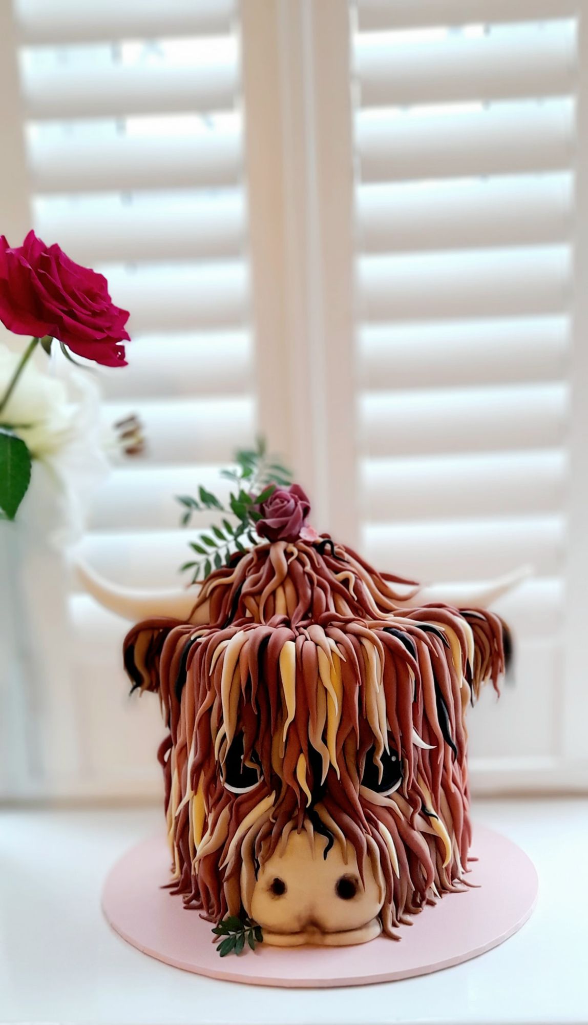 Highland cow cakes
