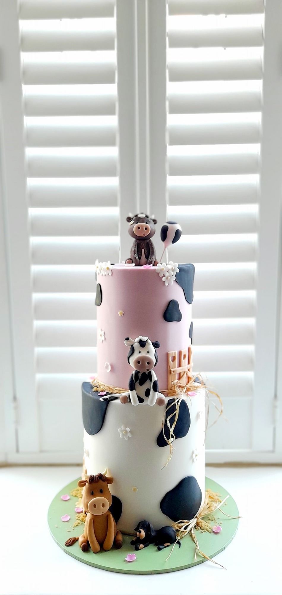 Cow themed cake