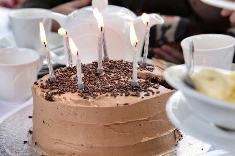 chocolate and white mouse cake