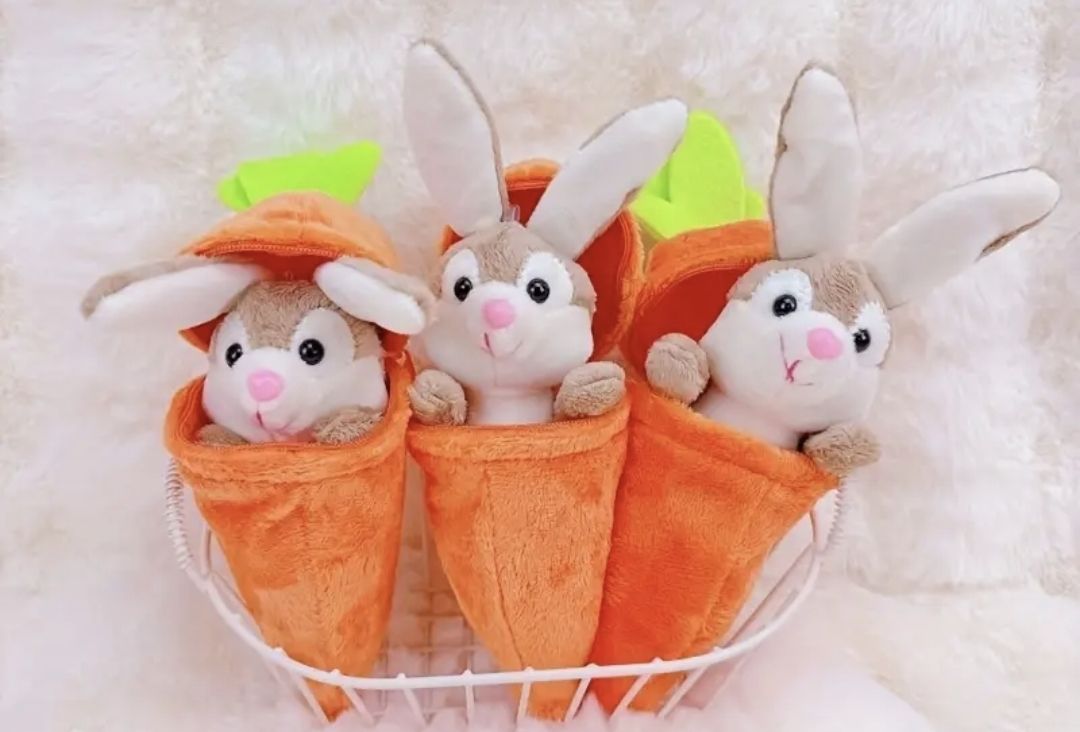 Personalised Carrot/Rabbit combo