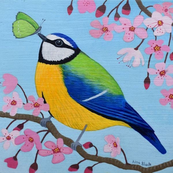 painting of a blue tit and cherry blossom from Scotland
