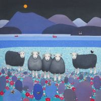 "Contemplation" Herdwick Sheep large print