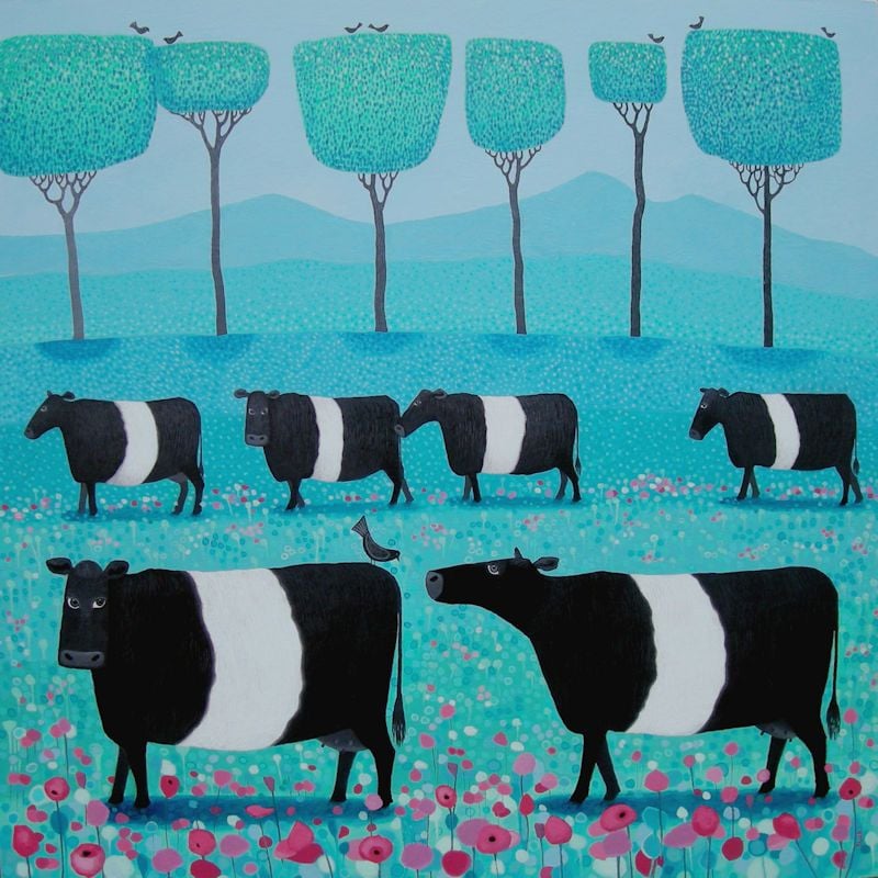 "Band O' Belties" Belted Galloway cows medium giclee print