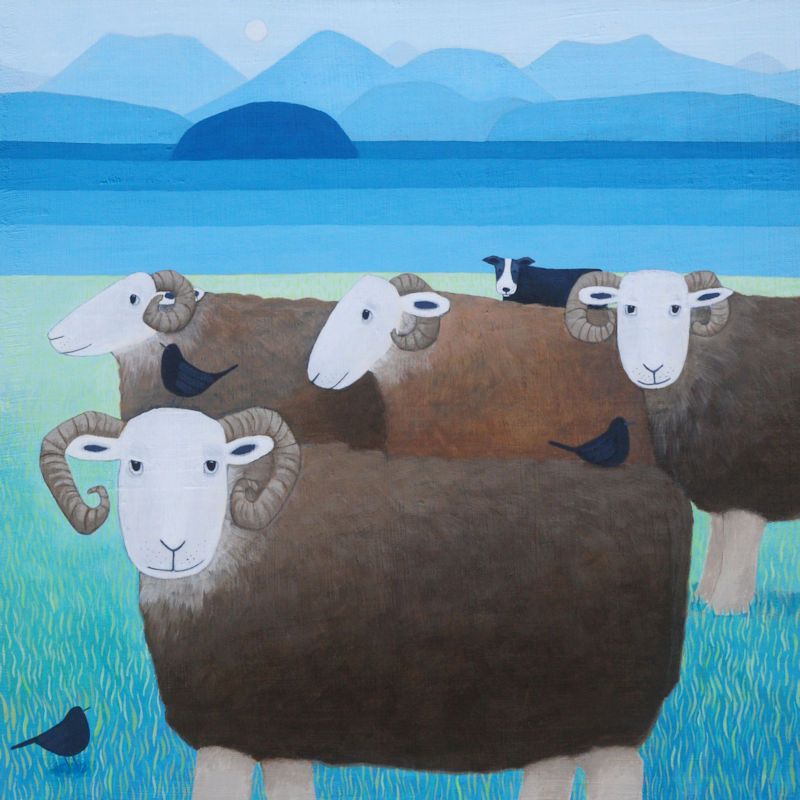 "Keeping an Eye" Medium Herdwick Sheep print