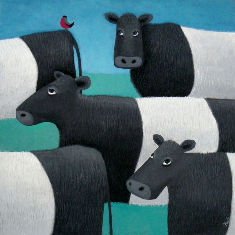 "Burd on Yer Bahookie" Belted galloway cow card