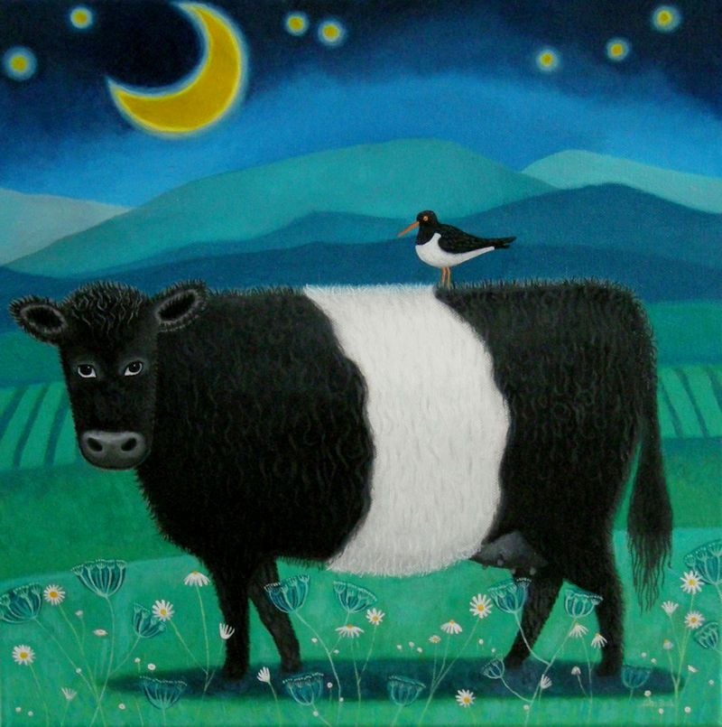 "Moonlit Beltie" Belted galloway at night time card