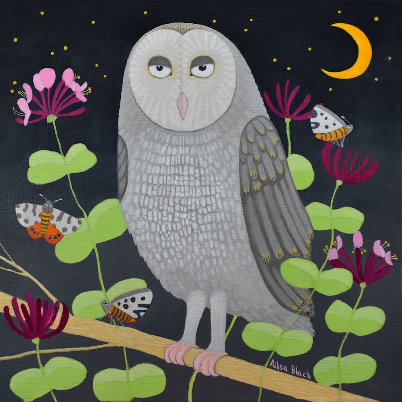 "Hoolit in the Honeysuckle" Barn owl blank art card