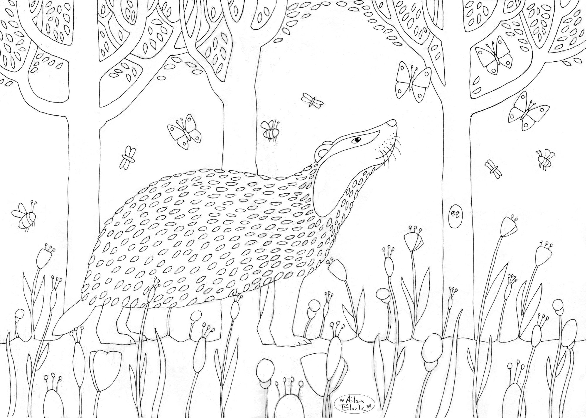Free badger for colouring in