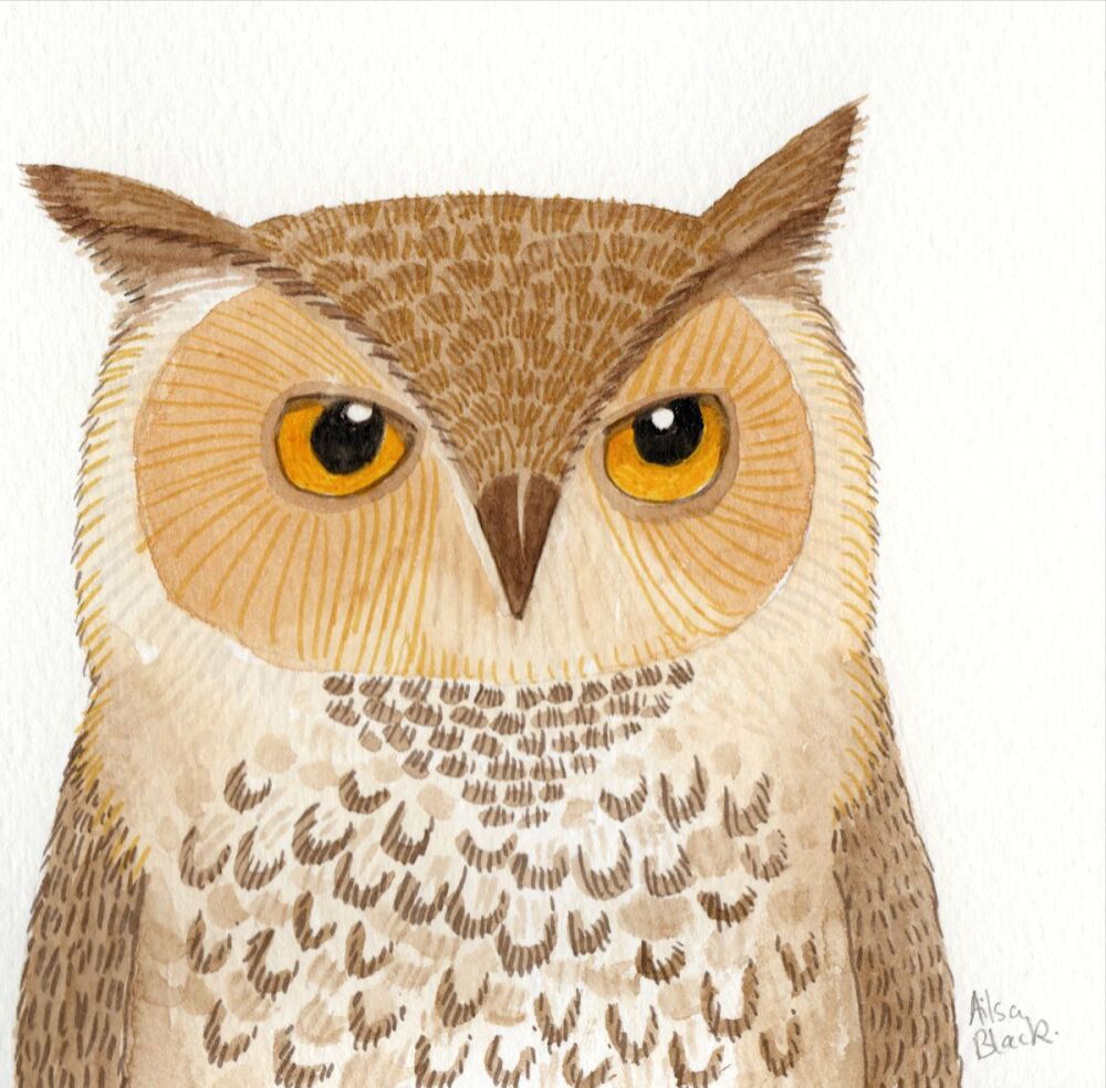 Hoolit Owl Watercolour Painting